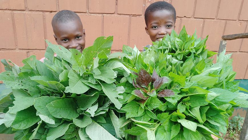 learners_harvest_of_vegetables_from_the_school_garden